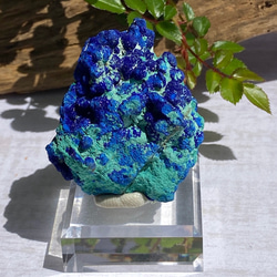 激レア♢スペシャル鉱物標本 スパークリング アズライトボール on マラカイト アズライト原石13  天然石 天然色 1枚目の画像