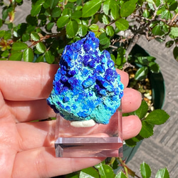 激レア♢スペシャル鉱物標本 スパークリング アズライトボール on マラカイト アズライト原石13  天然石 天然色 2枚目の画像