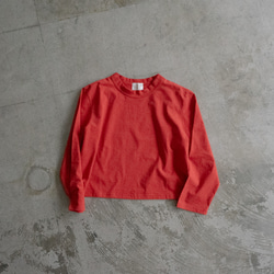 ドライタッチコットンカットソー/pomperian red/size1 2枚目の画像