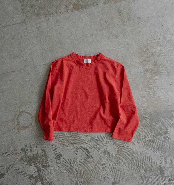 ドライタッチコットンカットソー/pomperian red/size1 2枚目の画像