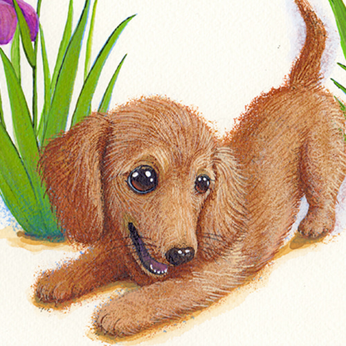 アクリル画 ミニチュアダックス  犬 動物 アクリル画 ミニチュアダックス 犬 動物