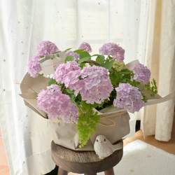 ✤ ユーカリ ポポラス ✤ フレッシュ*＊ ユーカリポポラス フレッシュ30〜45センチ10本 その他インテリア雑貨