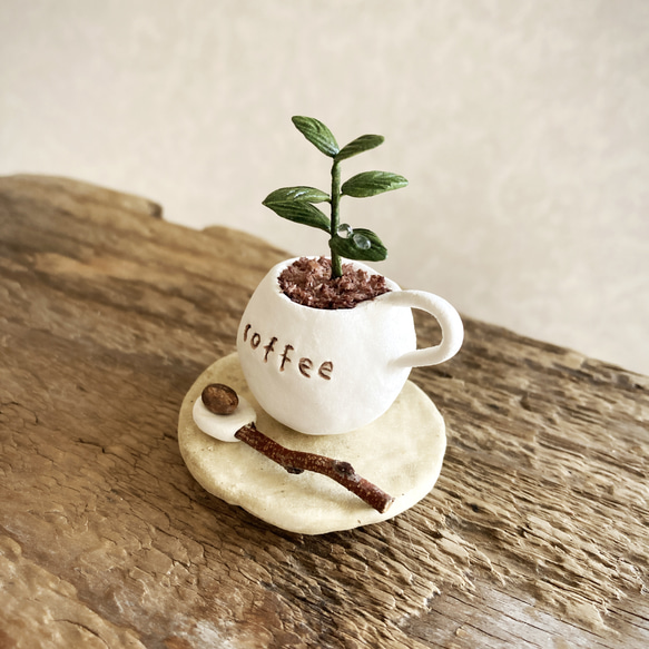 8663.［まゆごろうさま］bud 粘土の鉢植え コーヒーの木セット 2枚目の画像