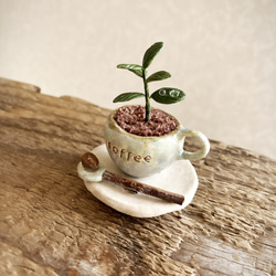8664.bud 粘土の鉢植え コーヒーの木セット 2枚目の画像