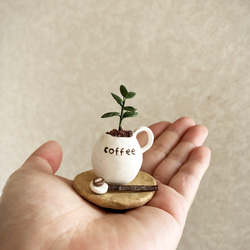 8665.bud 粘土の鉢植え コーヒーの木セット 5枚目の画像