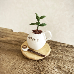 8665.bud 粘土の鉢植え コーヒーの木セット 2枚目の画像