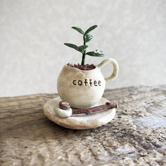 8668.bud 粘土の鉢植え コーヒーの木セット 4枚目の画像