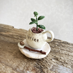 8668.bud 粘土の鉢植え コーヒーの木セット 2枚目の画像
