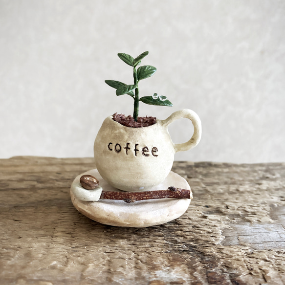 8668.bud 粘土の鉢植え コーヒーの木セット 1枚目の画像