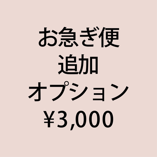 追加オプション ｜ お急ぎ便 ￥3,000 その他オーダーメイド PALE