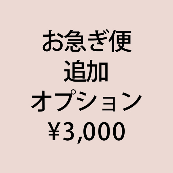 追加オプション ｜ お急ぎ便 ￥3,000 1枚目の画像