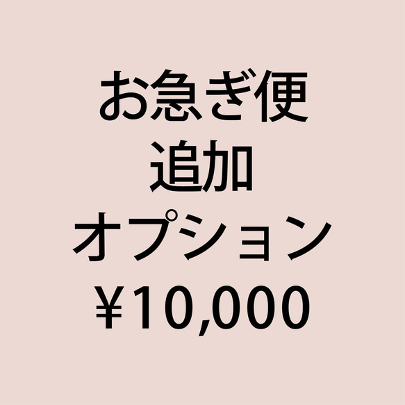 追加オプション ｜ お急ぎ便 ￥10,000 1枚目の画像