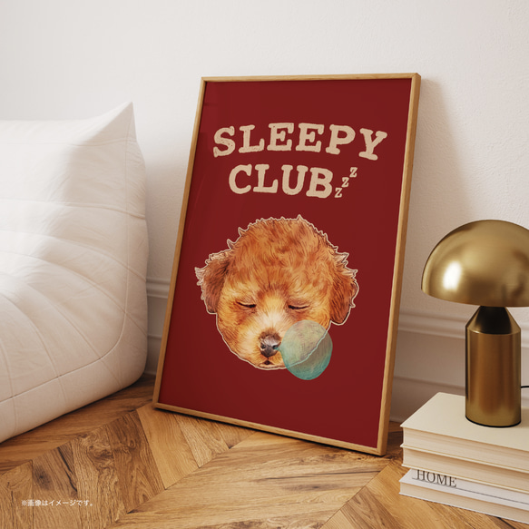 A3ポスター「SLEEPY CLUB_プードル」 4枚目の画像