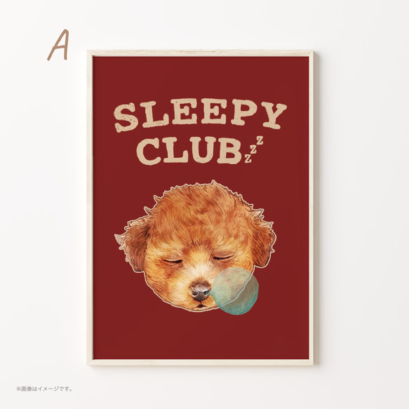 A3ポスター「SLEEPY CLUB_プードル」 3枚目の画像