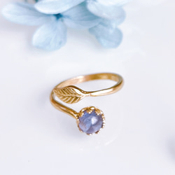 《12月誕生石》タンザナイト 紫陽花 ブルー リング お花 リーフ 天然石 指輪 フリーサイズ フォークリング 母の日 4枚目の画像