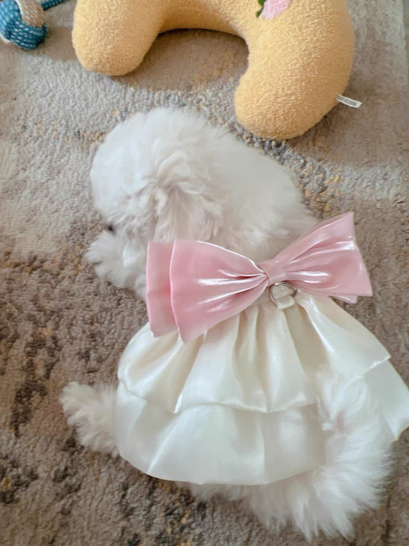 可愛い猫犬　ワンチャン　ニャーチャン　ペット服  ハーネス　姫　リボン 2枚目の画像