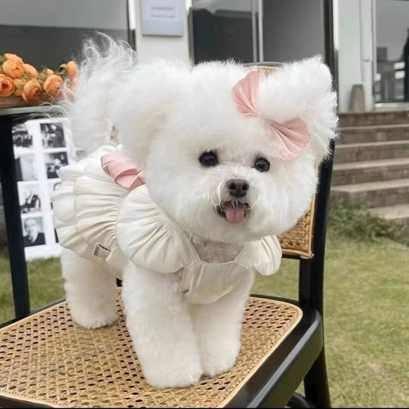 可愛い猫犬　ワンチャン　ニャーチャン　ペット服  ハーネス　姫　リボン 7枚目の画像