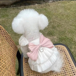 可愛い猫犬　ワンチャン　ニャーチャン　ペット服  ハーネス　姫　リボン 1枚目の画像