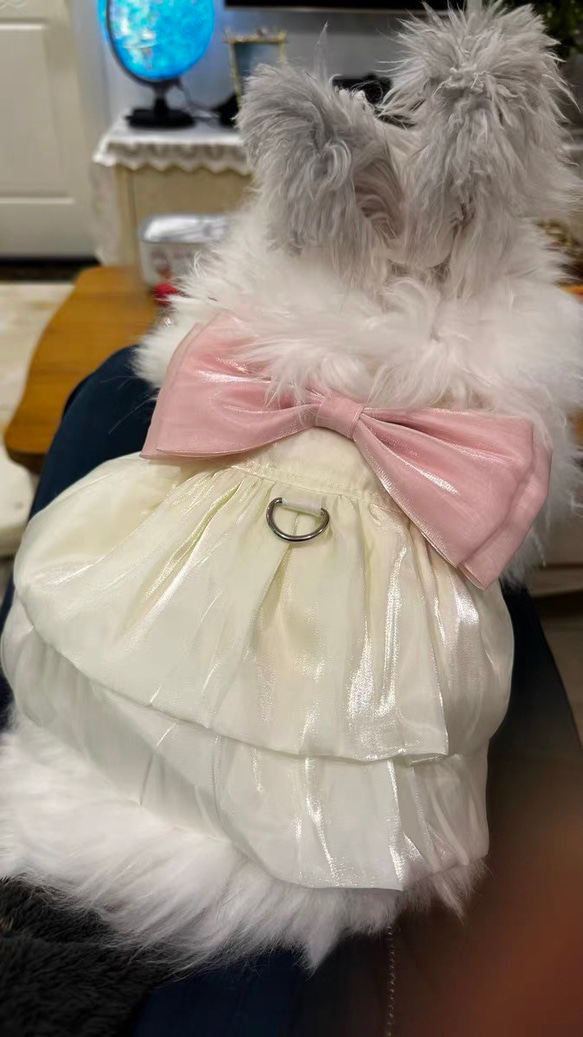 可愛い猫犬　ワンチャン　ニャーチャン　ペット服  ハーネス　姫　リボン 6枚目の画像