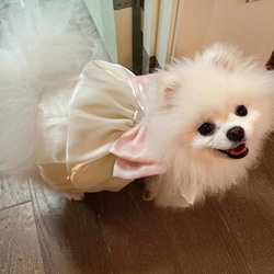 可愛い猫犬　ワンチャン　ニャーチャン　ペット服  ハーネス　姫　リボン 5枚目の画像