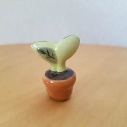 陶器製 デコレーション 置き物   芽が出たよ！ 新緑 新生活 2枚目の画像