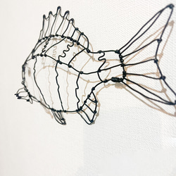 ワイヤーアート チヌ 黒鯛 釣り アート インテリア 壁掛け チニングwirecraft  海 水族館 【受注販売】 7枚目の画像