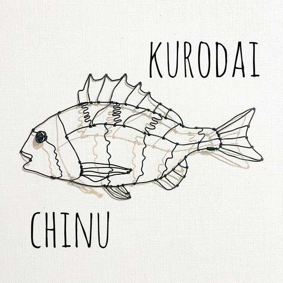 ワイヤーアート チヌ 黒鯛 釣り アート インテリア 壁掛け チニング