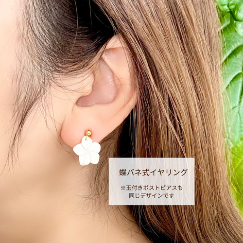 お客様ご専用ページ