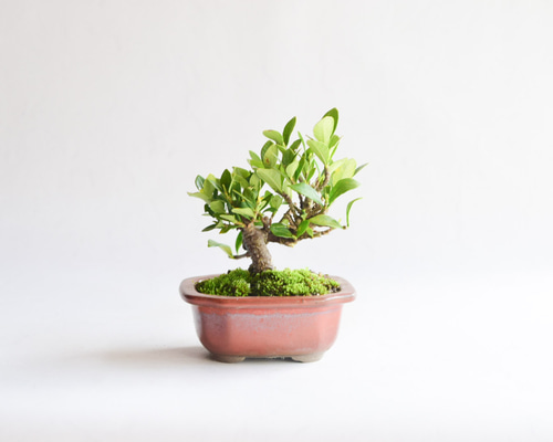 b6aeb2eae87e3f32c7047f2929c4f3