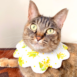 リバーシブルneco neco スタイ 花柄　ミモザ◇猫用スタイ　猫スタイ　猫のお洋服　猫のおしゃれ　首輪　 13枚目の画像