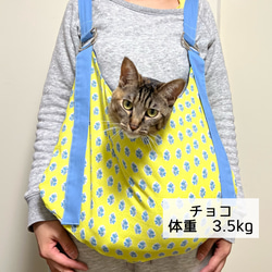 【ヒルナンデスで紹介されました　猫猫バッグ】猫用スリング　抱っこ紐　キャリー　室内用　いちご柄 4枚目の画像