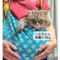 【ヒルナンデスで紹介されました　猫猫バッグ】猫用スリング　抱っこ紐　キャリー　室内用　チェック 6枚目の画像