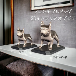 Lサイズ】マジック 手品 マジシャン トランプ バー ポーカー