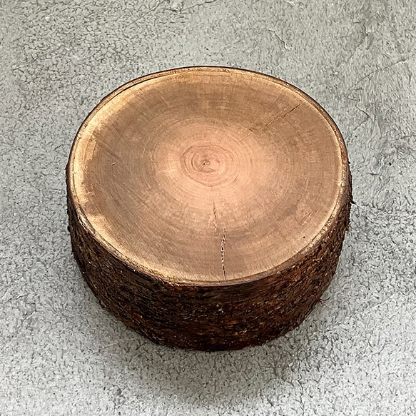 山桜の丸太 山桜 切り株 丸太 椅子 スツール 高さ約33㎝ 椅子/チェア