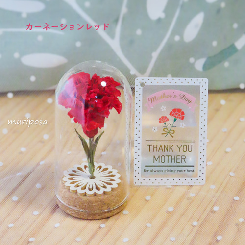 母の日ギフト2025・母の日に可愛いコルクビンの中のカーネーション