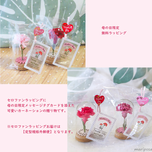 母の日ギフト2025・母の日に可愛いコルクビンの中のカーネーション