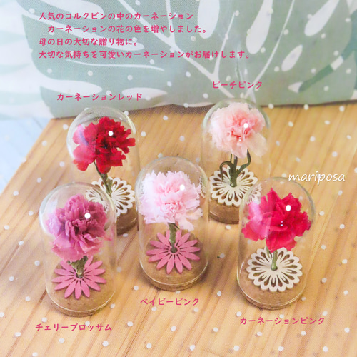 母の日ギフト2025・母の日に可愛いコルクビンの中のカーネーション