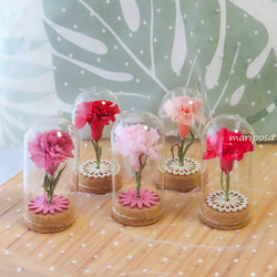 母の日ギフト2025・母の日に可愛いコルクビンの中のカーネーション