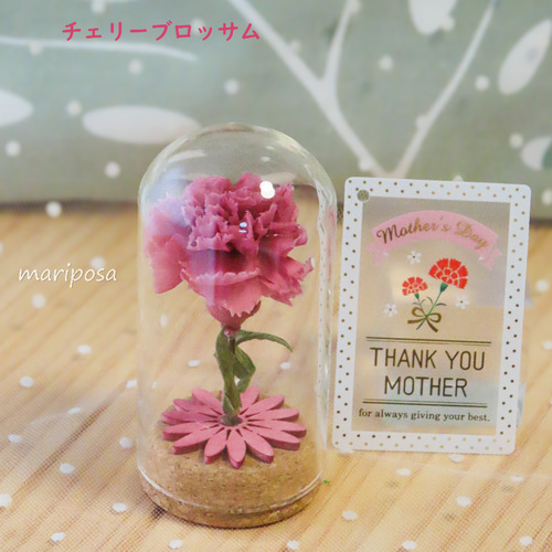 アルバム飾り　母の日　カーネーション　オーダー受付中( ＾∀＾) 母の日ギフト2025・母の日に可愛いコルクビンの中のカーネーション
