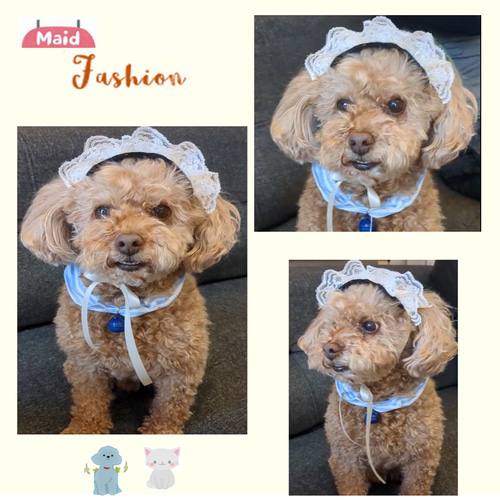 犬服ハンドメイド♡ミィモカチューシャ♪ 犬服ハンドメイド♡ミィモカチューシャ♪ みほ様☆犬服