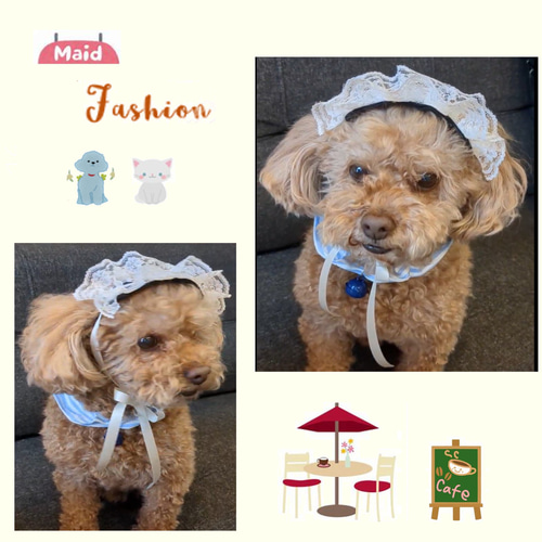 Miu☆　ハンドメイド犬服　ワンピース 犬服ハンドメイド