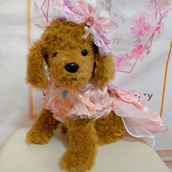 犬猫うさちゃん服　2着限定♡華やかピンク色ドレス 13枚目の画像