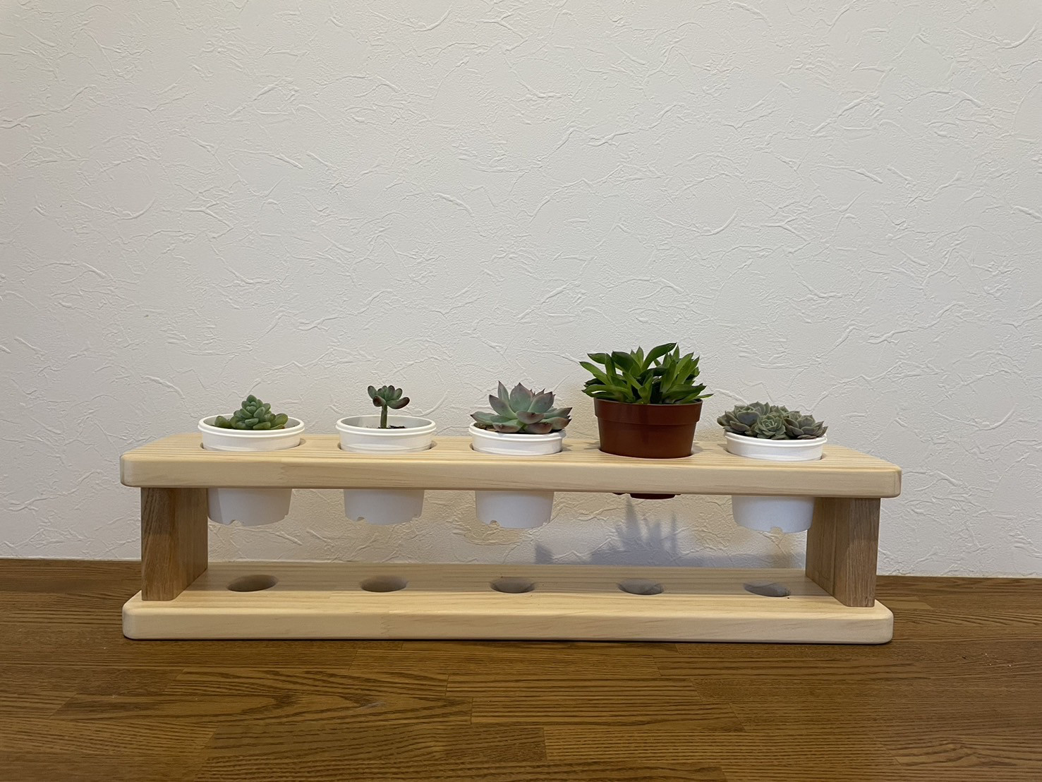 多肉植物　飾り棚　木製　クリアー塗装　（多肉植物は付属しません）