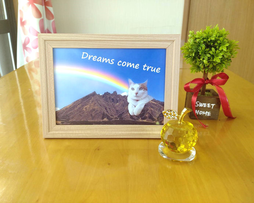 9a2e9994f8eb969606690dae485be8