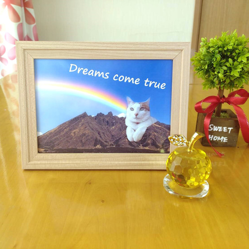 面白フレーム「根子岳に登頂した猫のドヤ顔」K.Isobe 2L判 フォト