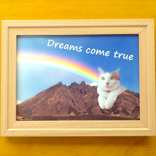 面白フレーム「根子岳に登頂した猫のドヤ顔」K.Isobe 2L判 フォト