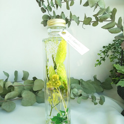 【514yuji様専用】【creema限定】ハーバリウム（植物標本）～150ml 6本～ 4枚目の画像