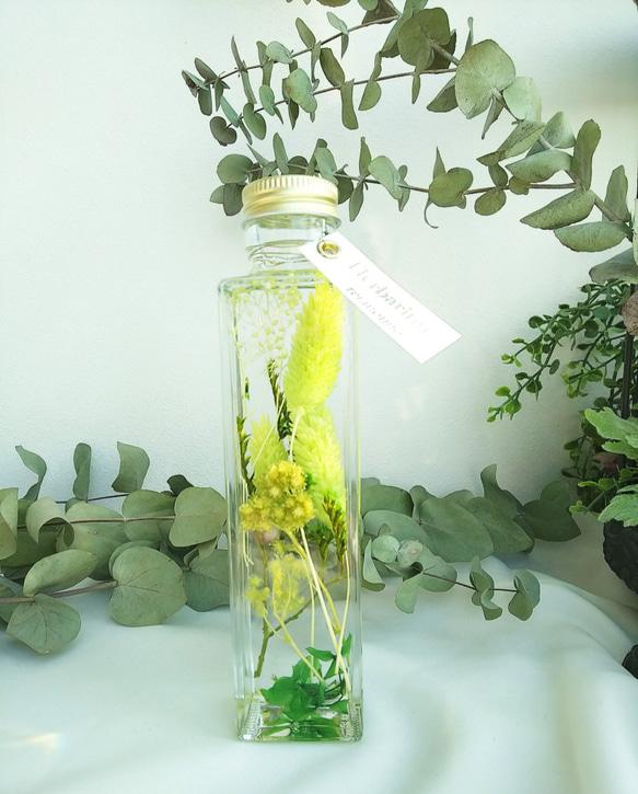 【514yuji様専用】【creema限定】ハーバリウム（植物標本）～150ml 6本～ 4枚目の画像