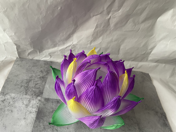 開花 蓮ランプ 紫×黄色 4枚目の画像