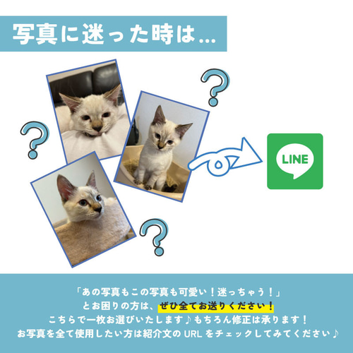 ペット 家族 オリジナルグッズ オーダーメイド わがや 子供 猫